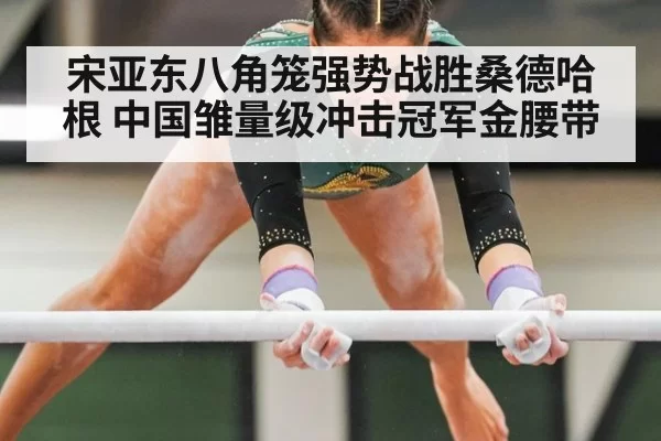 宋亚东八角笼强势战胜桑德哈根 中国雏量级冲击冠军金腰带